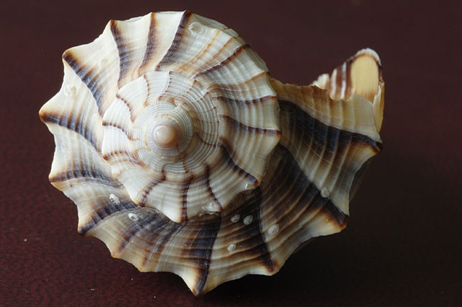 6414
